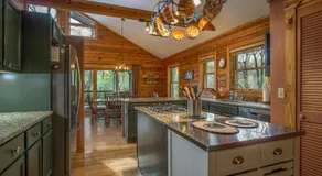 Blissful Bears Mountain · Blissful Bear Cabin, Long Range View 2 - Image 3