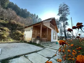 Timber nest Cottage - Image 3