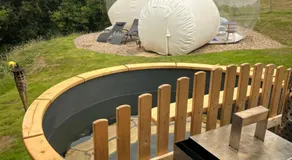 Wooded Bubble - Image 2