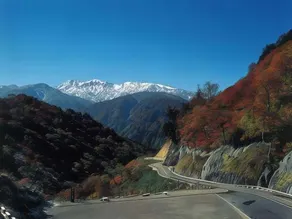 Tsurunoya - Image 5