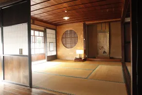 Atagoya - Image 4