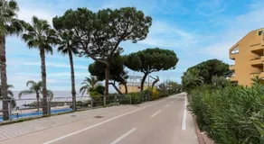 Flat acquamarina - Image 4