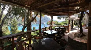 Acapulco Seaside Pool Bar and Apartments - Image 3