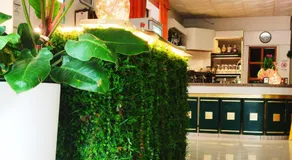 Hotel Zenith - Image 3