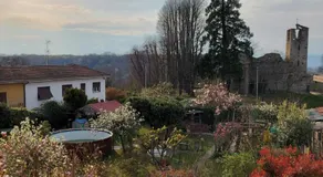 IL TORRINO - Image 2