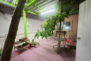 Sunshine Apartment - Image 5
