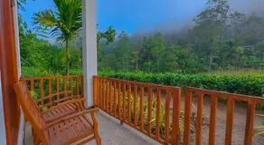 Sinharaja Rainforest Vibe - Image 4