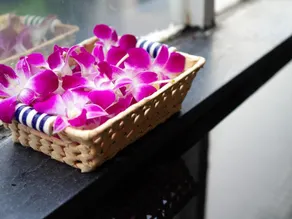 ISANA Resort - Image 4