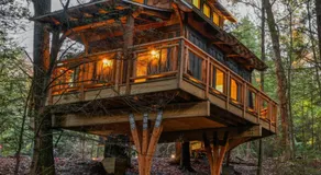Enchanted Evergreen - Image 5