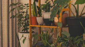 Elegant Boho Style Studio Haven - Image 5