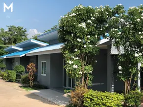 The Money Inn - Image 5