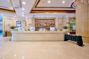 Vienna International Shenzhen Longgang Lilang - Image 4