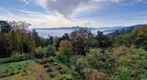 La Villa du Parc - Gîtes & SPAs privatifs - Image 4