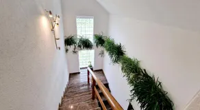 House Ana - Image 5