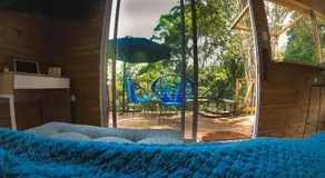 Glampbird-Tangara Real - Image 4