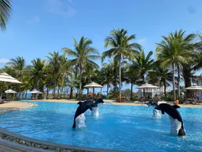 Jack's Home - Ocean Vista Condotel Sealink Mui Ne - Image 5