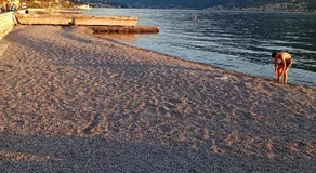 Apartman Lena - Image 3