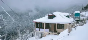 Himalayan yetis camp and tree house - Image 3