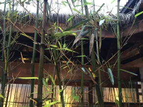 Chanlu Resort - Image 5