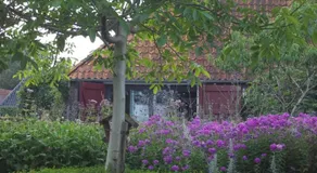 't Griene Hemeltsje - Image 4