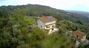 PETTOCANNELLA - Image 4