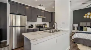 Serenity Studios - Near Med Center & Museum District - Image 4