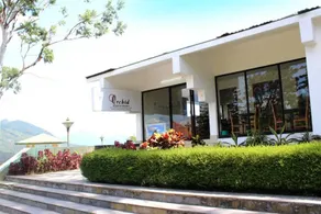 Golden Peak - Image 3