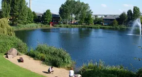 118 Shepherds Lane - Image 3