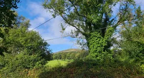 Gorgeous Wicklow Hills Hideaway - Image 3