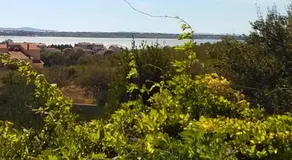 Apartments Milutin - Image 4