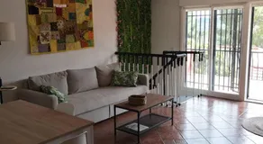 Susan Home - Image 3