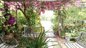 Garden Hostel - Image 3