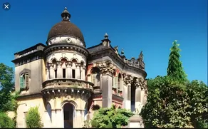 Hibiscus Chandannagar - Image 3