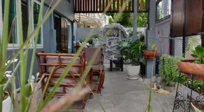 THE HOG - Image 4
