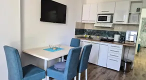 Apartman MiCi Sunčani Breg Vrdnik - Image 2