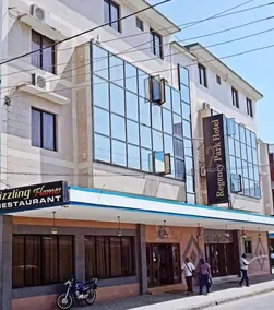 Regency Park Hotel - Image 5