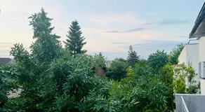 Kiseleff Park Studio - Image 5