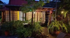 Fare Cocoon - Image 4
