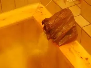 Hinagu Onsen Shinhama Ryokan - Image 5