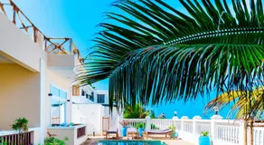 Mambo Paradise - Image 4
