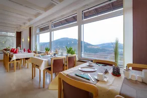 Panorama Hotel Winterberg - Image 2