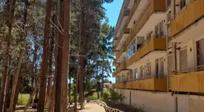 Departamento en el Tabo - Image 3