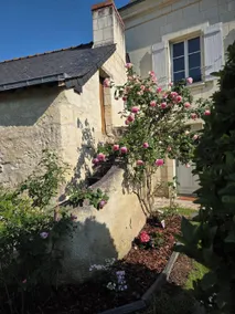 Au pied du Lavoir chambre Germaine - Image 5