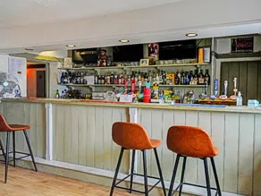 The BILLINGFORD HORSESHOES - Image 5
