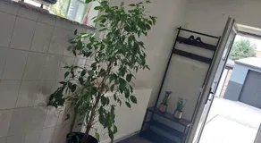 Appartement alisa - Image 4