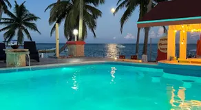 Tropical Paradise Express - Image 4