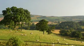 Shallowdale House - Image 5