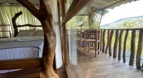 LAMIACEAE WOOD CABIN - Image 3
