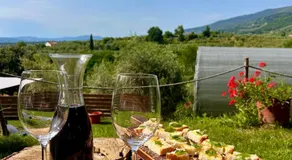 Botte Toscana in Oliveta - Idromassaggio Privato - Vista Mozzafiato - Image 4