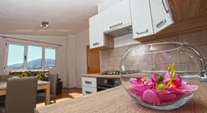Apartments Ukić with a large outdoor swimming pool - Image 2